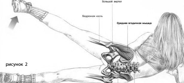 Упражнение в тренажере_upragnenie